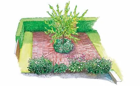 Под яблоней цветет почвопокровная нежно-розовая герань Биоково.