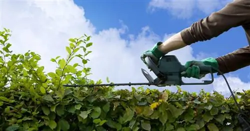 Фигурная резка декоративных деревьев