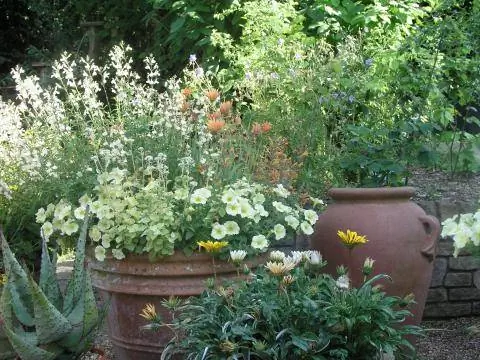 Терракота с летними цветами