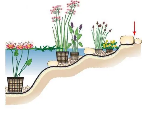 капиллярный барьер