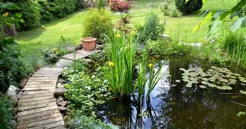 Подкладка для пруда: найти и замаскировать отверстия