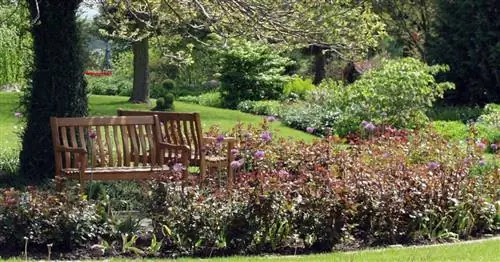 Создание сада мечты: шаг за шагом