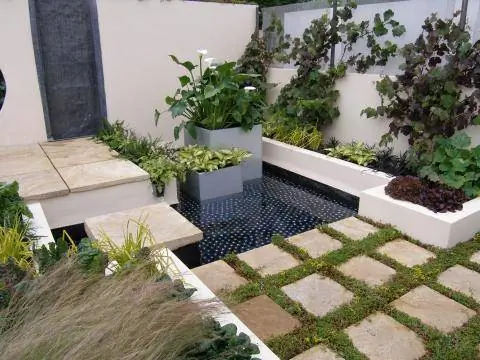 Современный водный сад