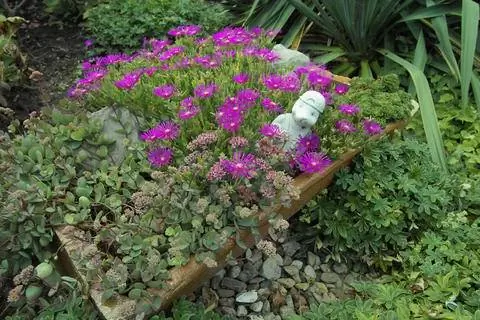 Корыто с вросшим камнем