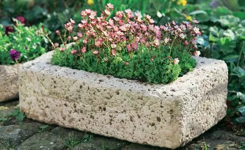 Кашпо из гипертуфа