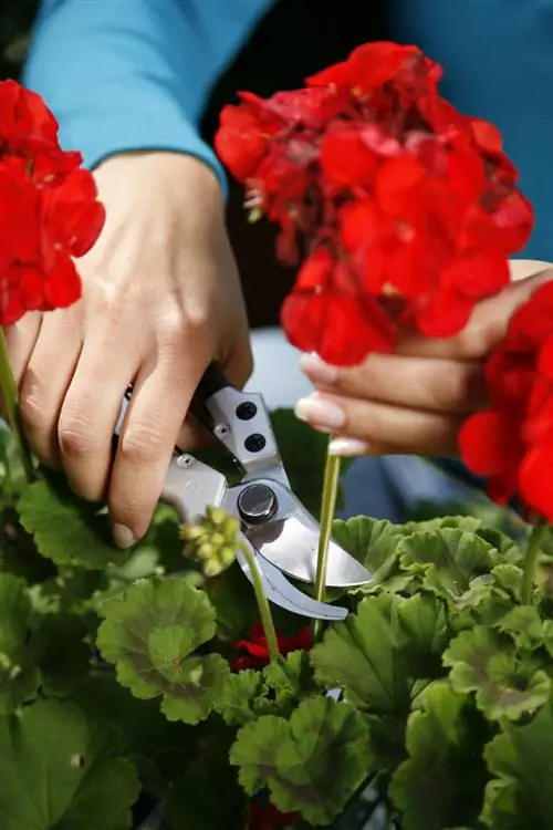 Резка секатором