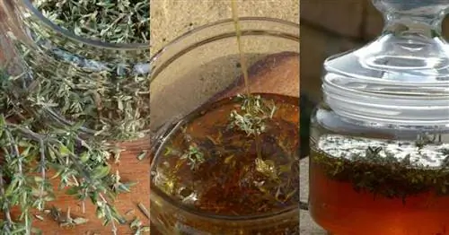 Школа лекарственных растений - лечит тело и душу