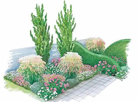 Многолетняя клумба с розами и китайским тростником