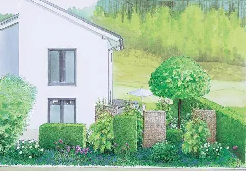 Двор перед домом с живой изгородью из граба