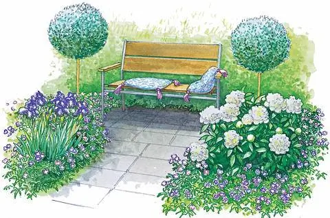 Зона отдыха в тени живой изгороди из граба