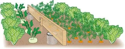 Ловушка для кротов