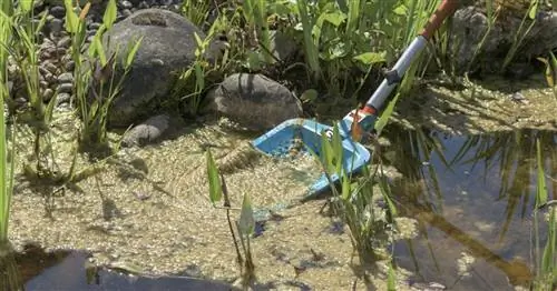 Борьба с водорослями в пруду