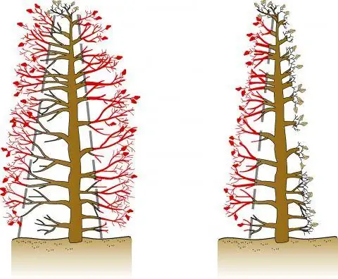 конусность