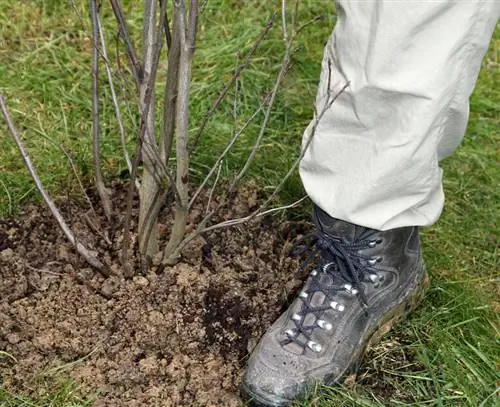 компактный земной фут