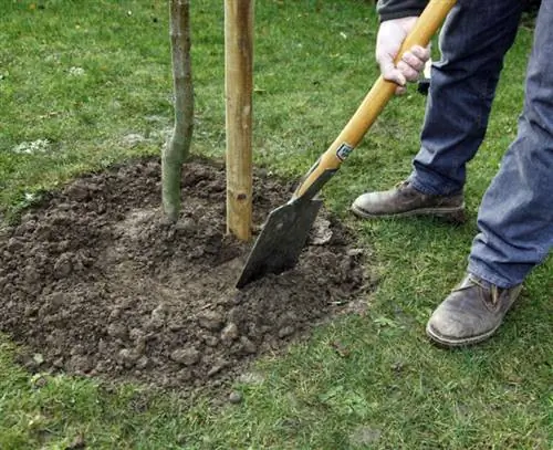 формировать кромку заливки