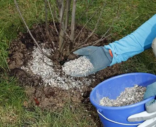 Удобрение корневых шариков роговой стружкой