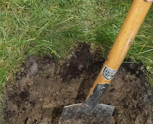 рыхлить почву