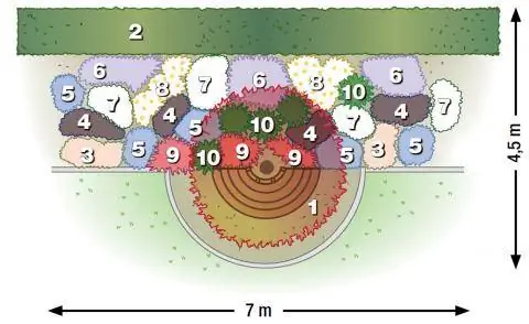 План посадки посадочного места под эвкалиптом