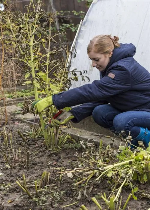 срезать стебли