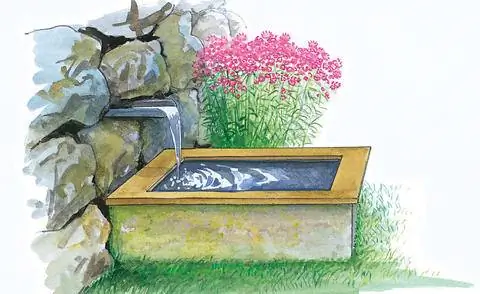 Бассейн с краном Бассейн с краном