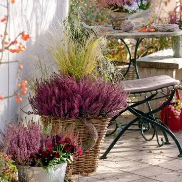 Осенняя терраса