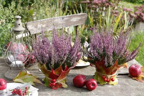 Осеннее украшение вереском