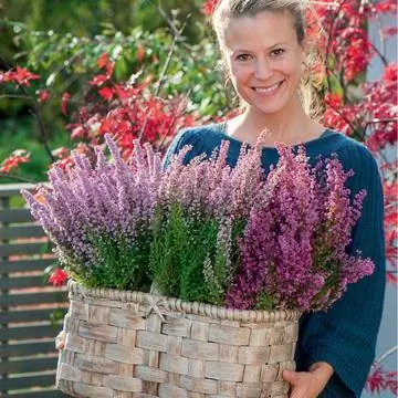 осенняя корзина