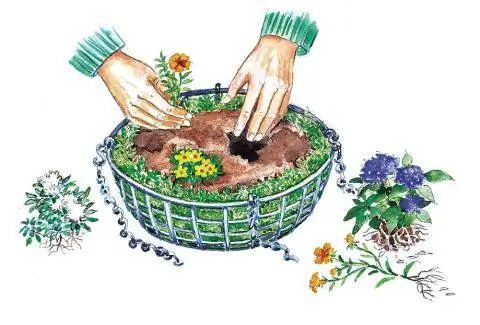 Почва для подвесных корзин