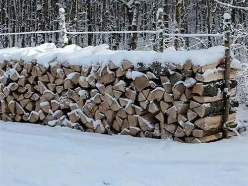 Стерхольц