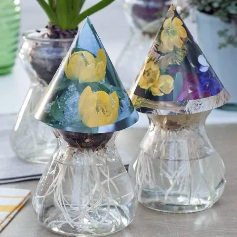 Вбить гиацинты в стакан