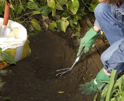 Выкопать посадочную яму