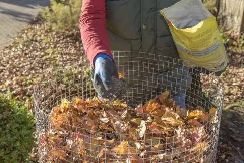 Листва в прямоугольной корзине из проволочной сетки