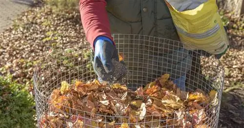 Осенняя уборка в саду
