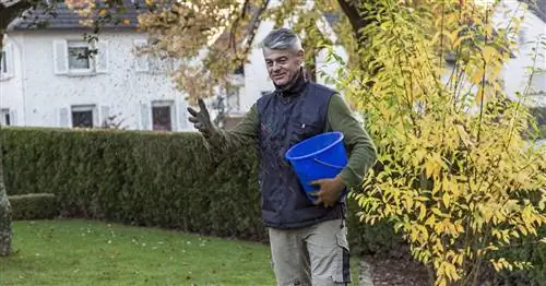 Осенние удобрения для газона готовят газон к зиме