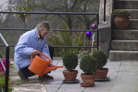 Поливайте растения даже зимой