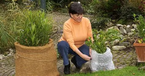 Морозу не грозит: 10 вопросов о зимней защите