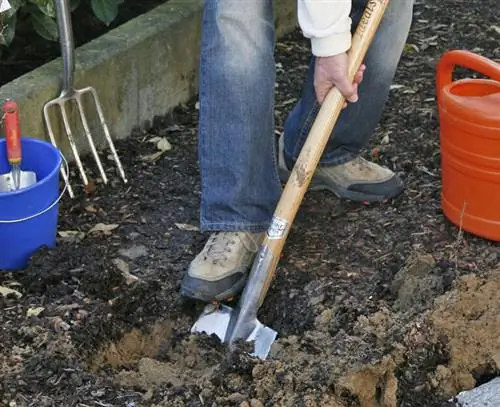 Выкопать посадочную яму