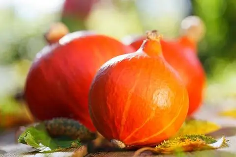 Тыква Хоккайдо