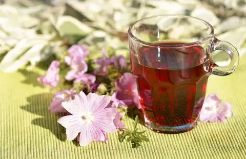 чай из мальвы