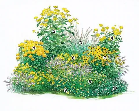 комбинация желтых кроватей пронумерована