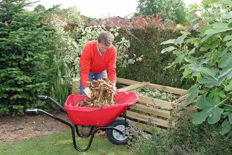 Проверьте осенние листья