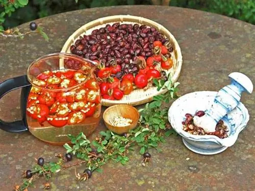 Чай из шиповника Чай из шиповника