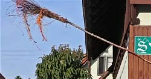 В страусином хозяйстве