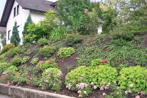 Садовый дизайн склона сада