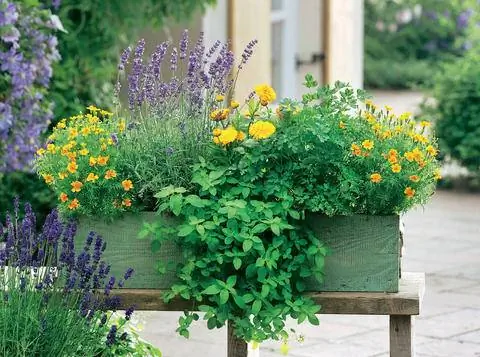 балконная коробка