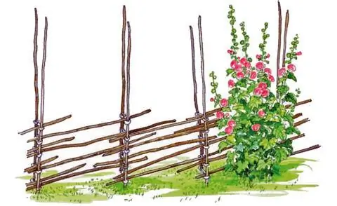 Забор Смоланда, засаженный мальвами