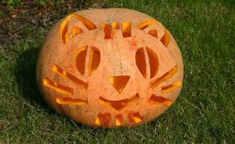 Идеальная тыква для любителей кошек