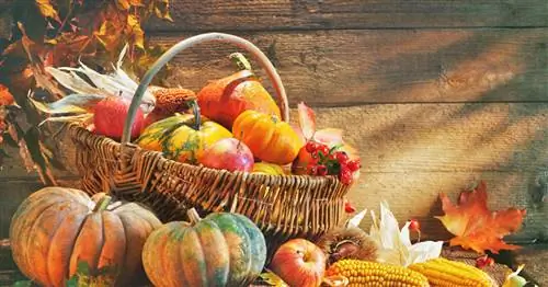 Креативные идеи украшения тыквой