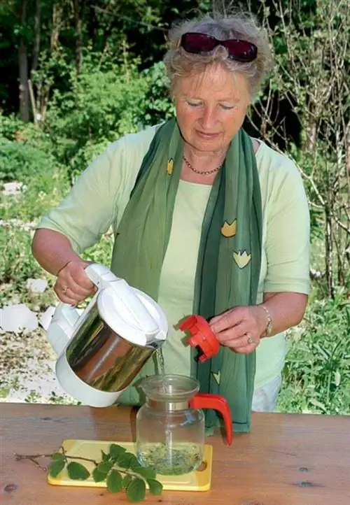 Урсель Бюринг