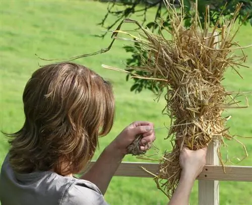 голова пугала